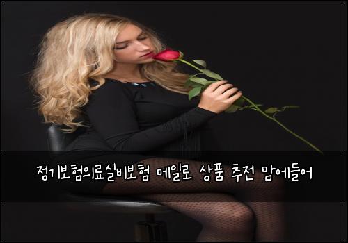 ์ ๊ธฐ๋ณดํ์๋ฃ์ค๋น๋ณดํ ๋ฉ์ผ๋ก ์ํ ์ถ์ ๋ง์๋ค์ด