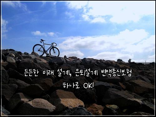  든든한 미래 설계, 은퇴설계 변액종신보험 하나로 OK!