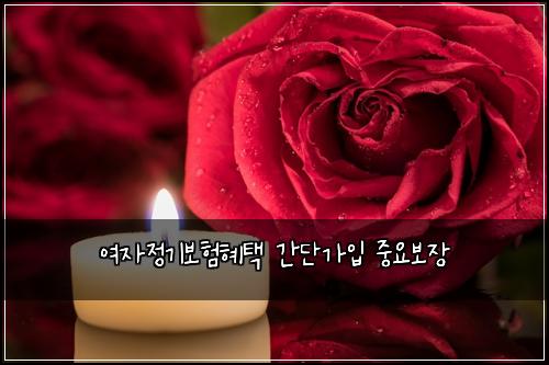 여자정기보험혜택 간단가입 중요보장