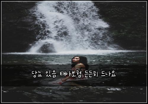 당뇨 있음 태아보험 든든히  드나요