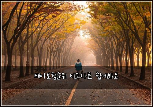 태아보험순위 비교자료 쉽게봐요