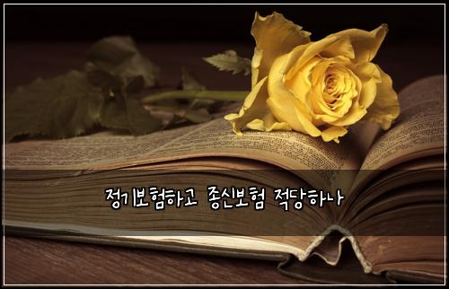 정기보험하고 종신보험 적당하나