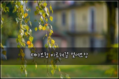 태아보험 바로해결  몇세보장
