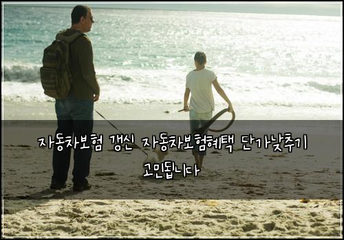 자동차보험 갱신 자동차보험혜택 단가낮추기 고민됩니다