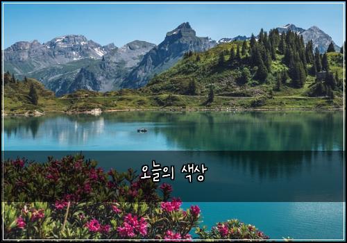 오늘의 색상
