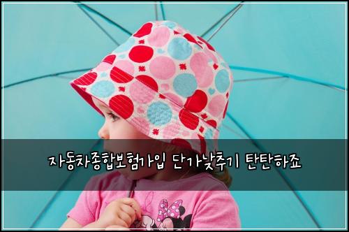 자동차종합보험가입 단가낮추기 탄탄하죠