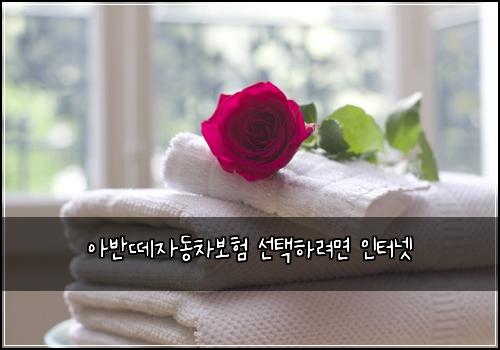์๋ฐ๋ผ์๋์ฐจ๋ณดํ ์ ํํ๋ ค๋ฉด ์ธํฐ๋ท