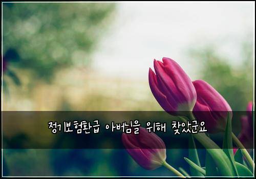정기보험환급 아버님을 위해 찾았군요
