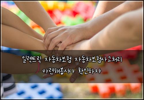 일렉트릭 자동차보험 자동차보험사고처리 마련해봅시다 확인하자