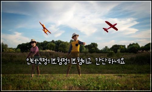 인터넷정기보험정기보험비교 간단하네요