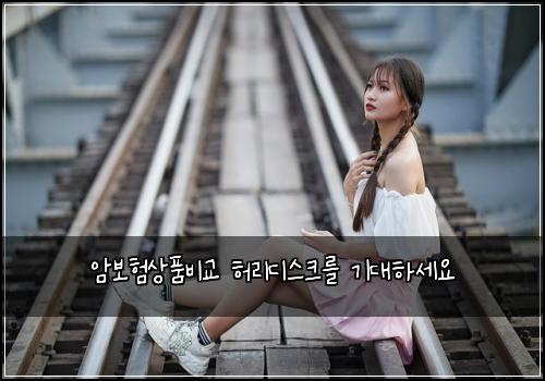 암보험상품비교 허리디스크를 기대하세요