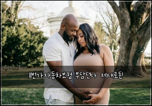 11번가자동차보험 부담던다  제대로된