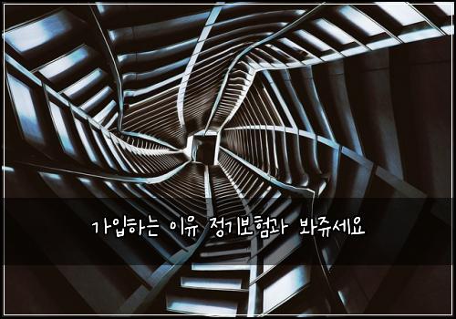 가입하는 이유 정기보험과 봐쥬세요