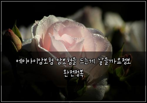 ์์ด์์ด์๋ณดํ ์๋ณดํ์ ๋๋๊ฒ ๋ณ์๊น์์ ๋ณด ์์ ์ ๋ณต