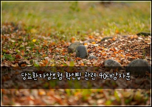 ๋น๋จํ์์๋ณดํ ํ์ธํ ๊ด๋ จ 40๋๋จ์๋ถ
