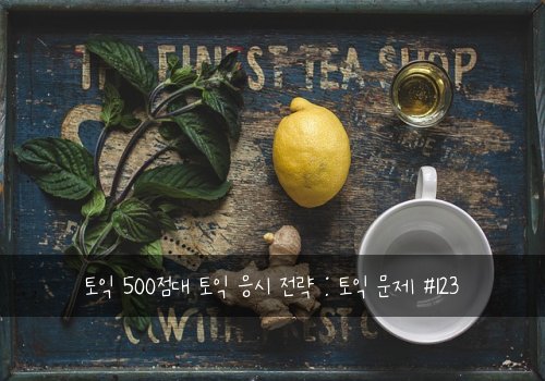 토익 500점대 토익 응시 전략 : 토익 문제 #123