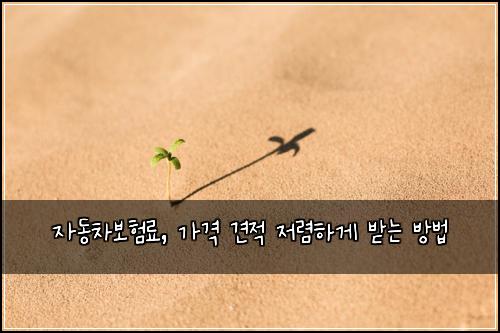 자동차보험료, 가격 견적 저렴하게 받는 방법
