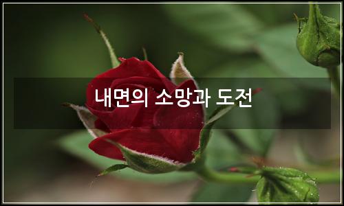 오늘의 이미지