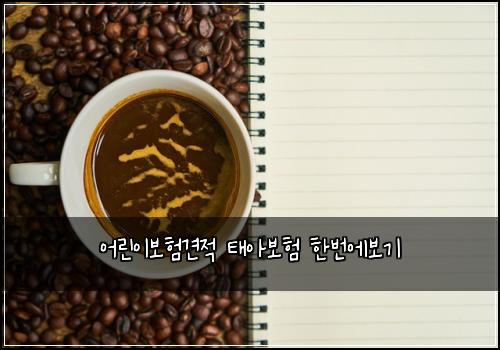 어린이보험견적 태아보험 한번에보기