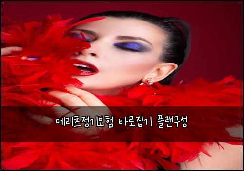 메리츠정기보험 바로집기  플랜구성