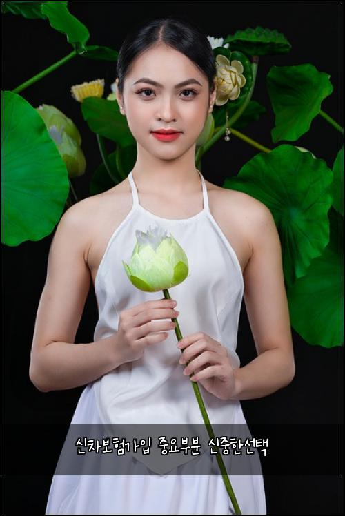 신차보험가입 중요부분 신중한선택