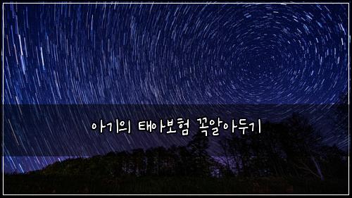 아기의 태아보험 꼭알아두기 