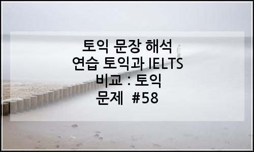 오늘의 이미지