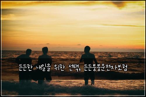  든든한 내일을 위한 선택, 든든붕붕운전자보험