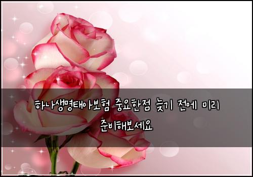 하나생명태아보험 중요한점  늦기 전에 미리 준비해보세요