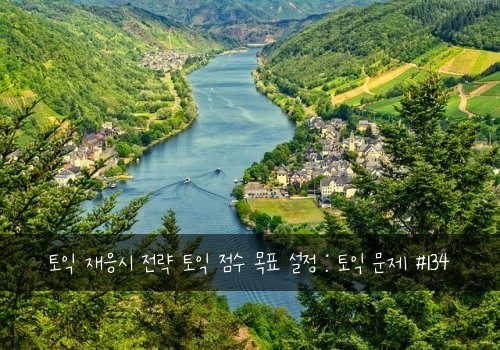 토익 재응시 전략 토익 점수 목표 설정 : 토익 문제 #134