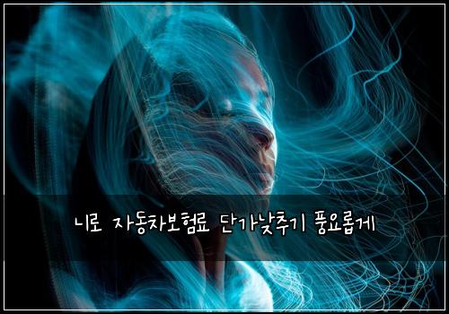 니로 자동차보험료 단가낮추기 풍요롭게