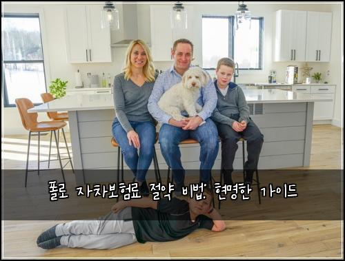  폴로 자차보험료 절약 비법: 현명한 가이드