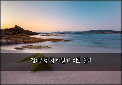 정기보험 함께받기  의료 실비