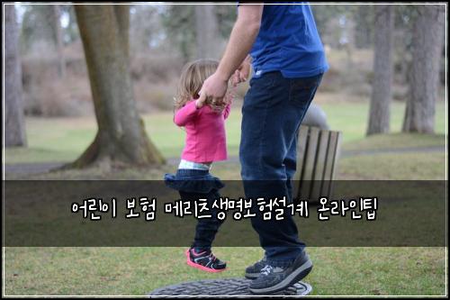 어린이 보험 메리츠생명보험설계 온라인팁