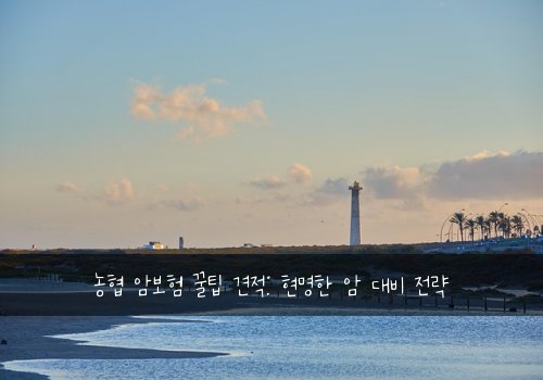 농협 암보험 꿀팁 견적: 현명한 암 대비 전략