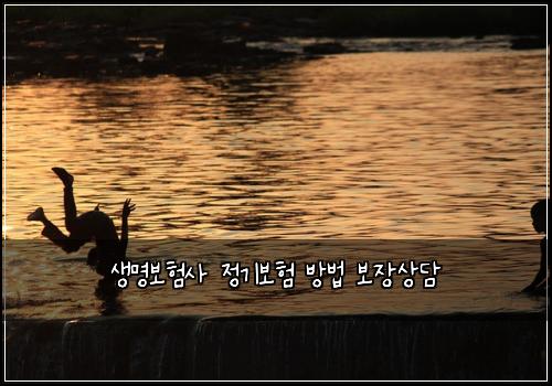 생명보험사 정기보험 방법 보장상담