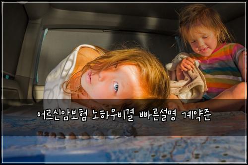 어르신암보험 노하우비결  빠른설명 계약준