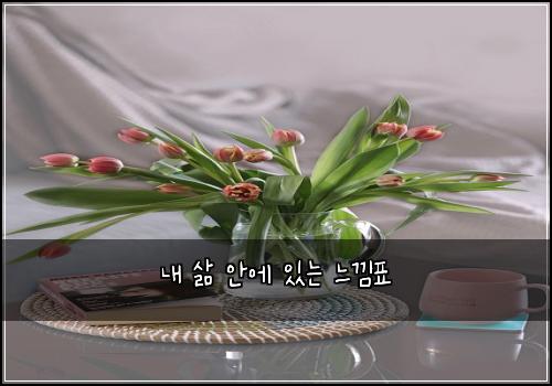 내 삶 안에 있는 느낌표