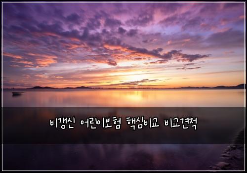 비갱신 어린이보험 핵심비교  비교견적