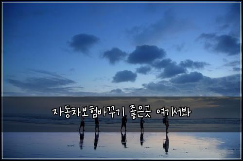 자동차보험바꾸기 좋은곳 여기서봐