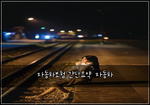 ์๋์ฐจ๋ณดํ ๊ฐ๋จ์์ฝ ์๋์ฐจ