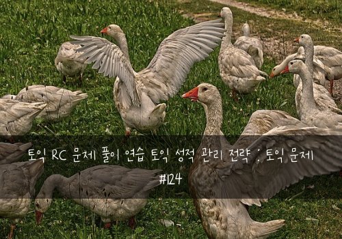 토익 RC 문제 풀이 연습 토익 성적 관리 전략 : 토익 문제 #124