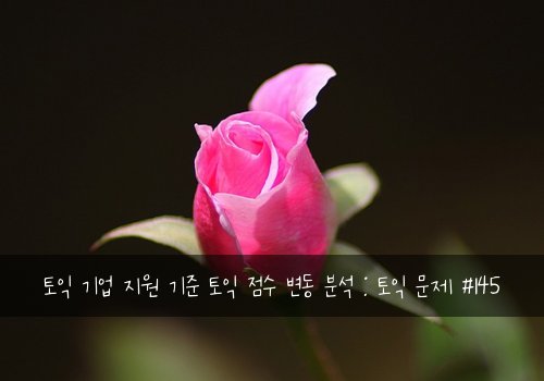 토익 기업 지원 기준 토익 점수 변동 분석 : 토익 문제 #145