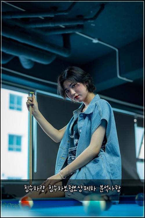 침수차량 침수차보험보상폐차 분석사항