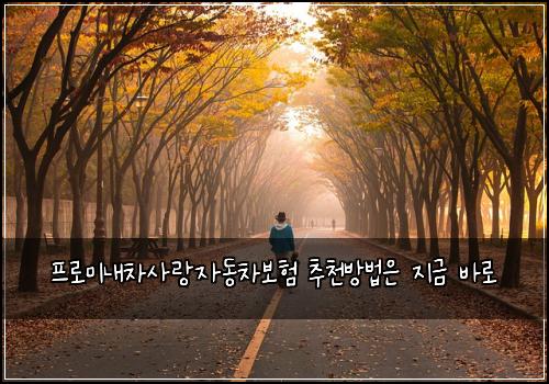 프로미내차사랑자동차보험 추천방법은  지금 바로