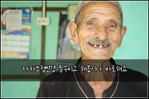 자차보험변경 필수비교 해봅시다 바로해요