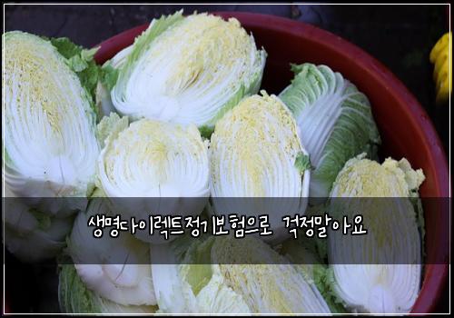 생명다이렉트정기보험으로 걱정말아요