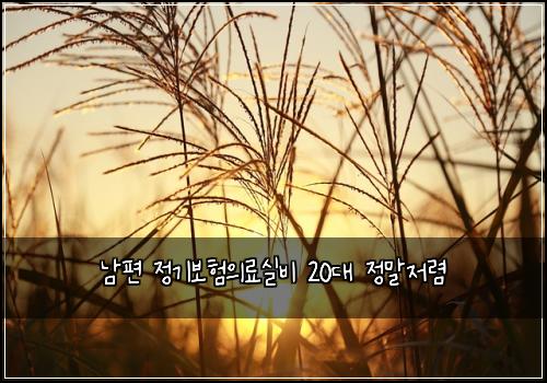 남편 정기보험의료실비 20대 정말저렴