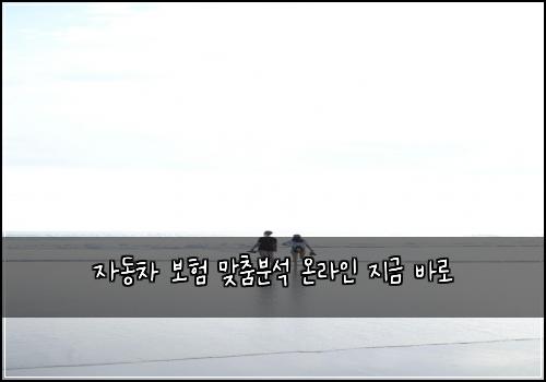 자동차 보험 맞춤분석  온라인 지금 바로