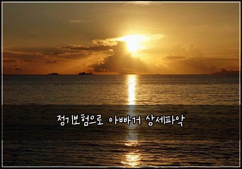 정기보험으로 아빠거 상세파악